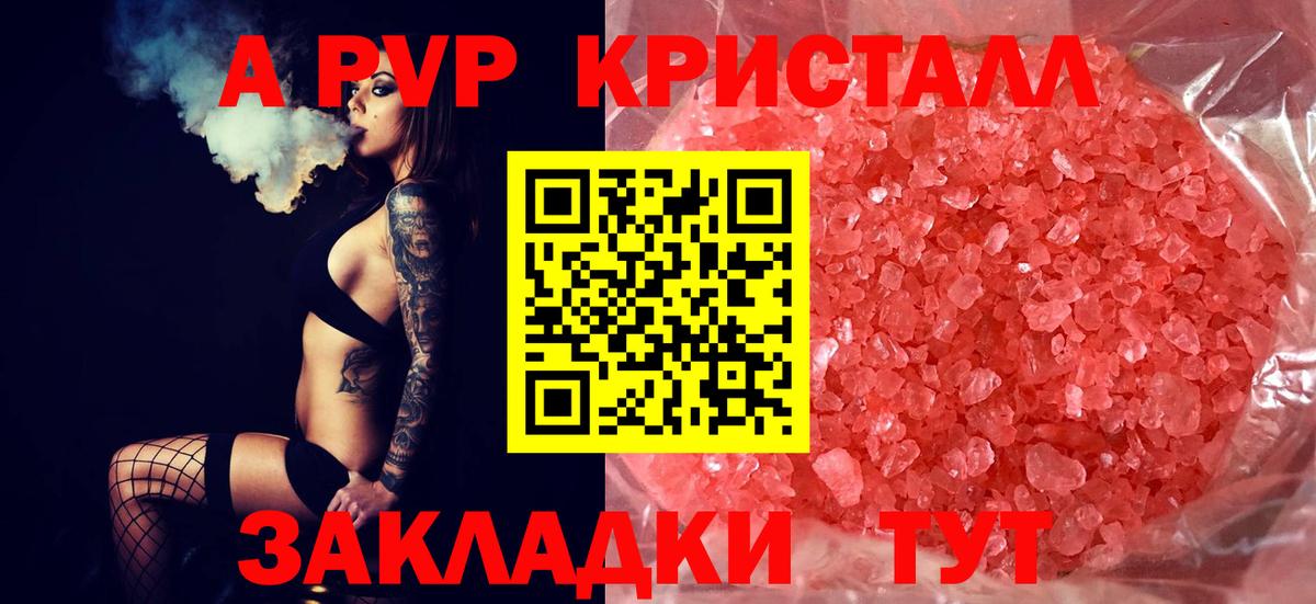 A PVP СК КРИС Нововоронеж