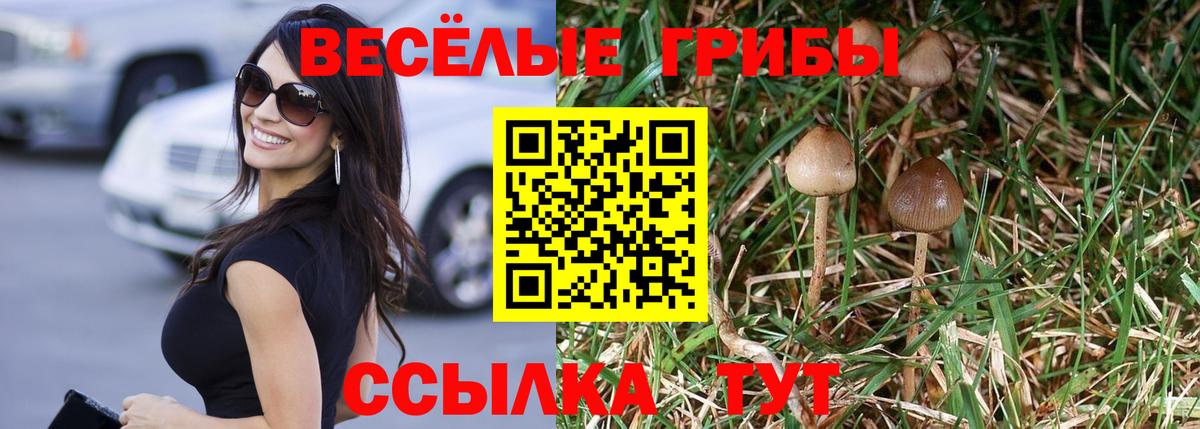 Псилоцибиновые грибы мицелий Нововоронеж
