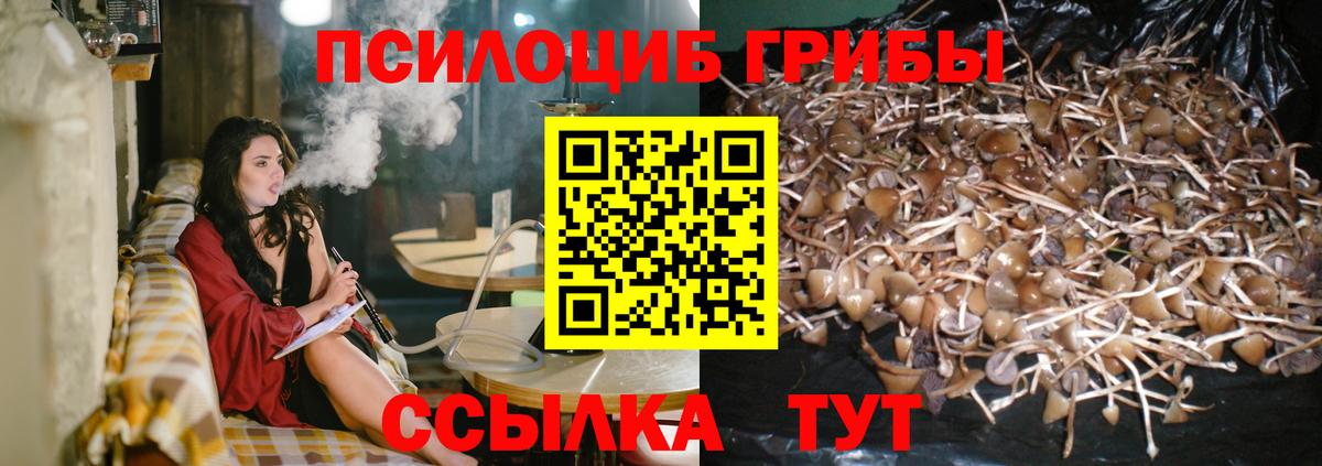 Нововоронеж  Псилоцибиновые грибы GOLDEN TEACHER  Вход с VPN 