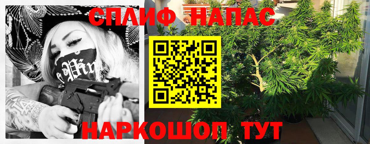Бошки Шишки LSD WEED Нововоронеж